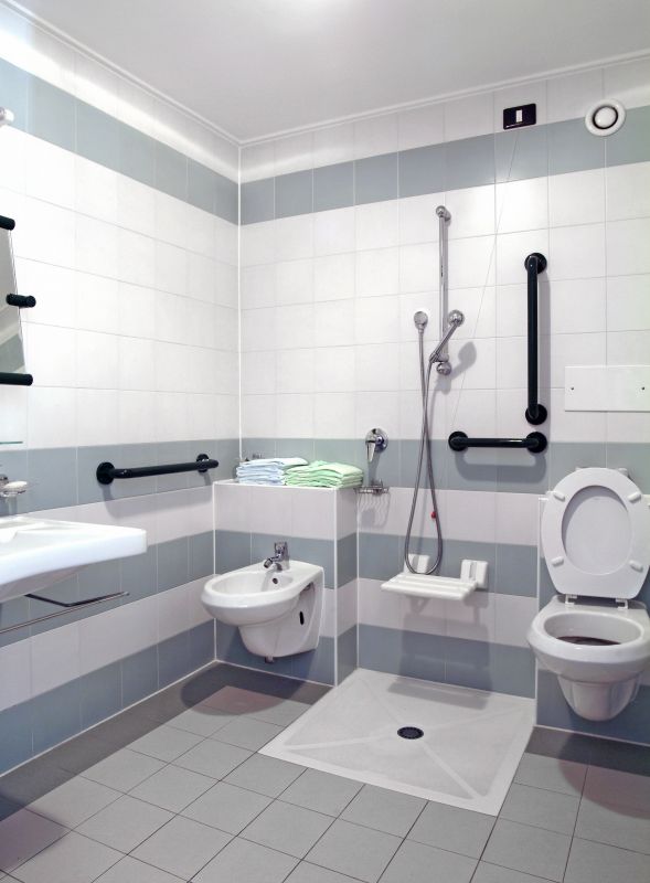 Accessible Bathroom Setup